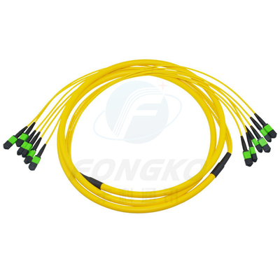 MPO MTP FTTH Fiber Optic Patch Cord Multimode Male Female LC-MPO 12 Cores