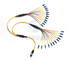 LC UPC Fiber Optic Fanout Pigtail Patch Cord Cable APC MPO 24 Core